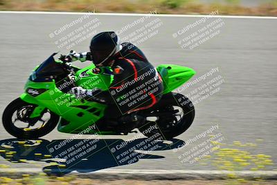 media/May-10-2024-2WTD (Fri) [[c88d7990af]]/Group C/Session 2-The Bowl/